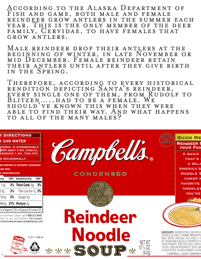 Reindeer Noodle Soup